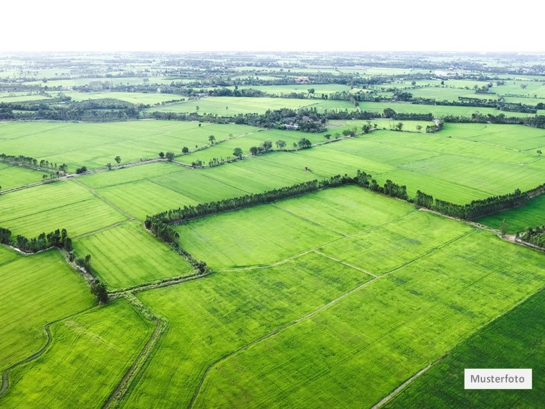 Zwangsversteigerung Heiligenstadt, Dorfacker